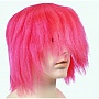 Lacey Wigs Clown - Silly Boy - Bargain